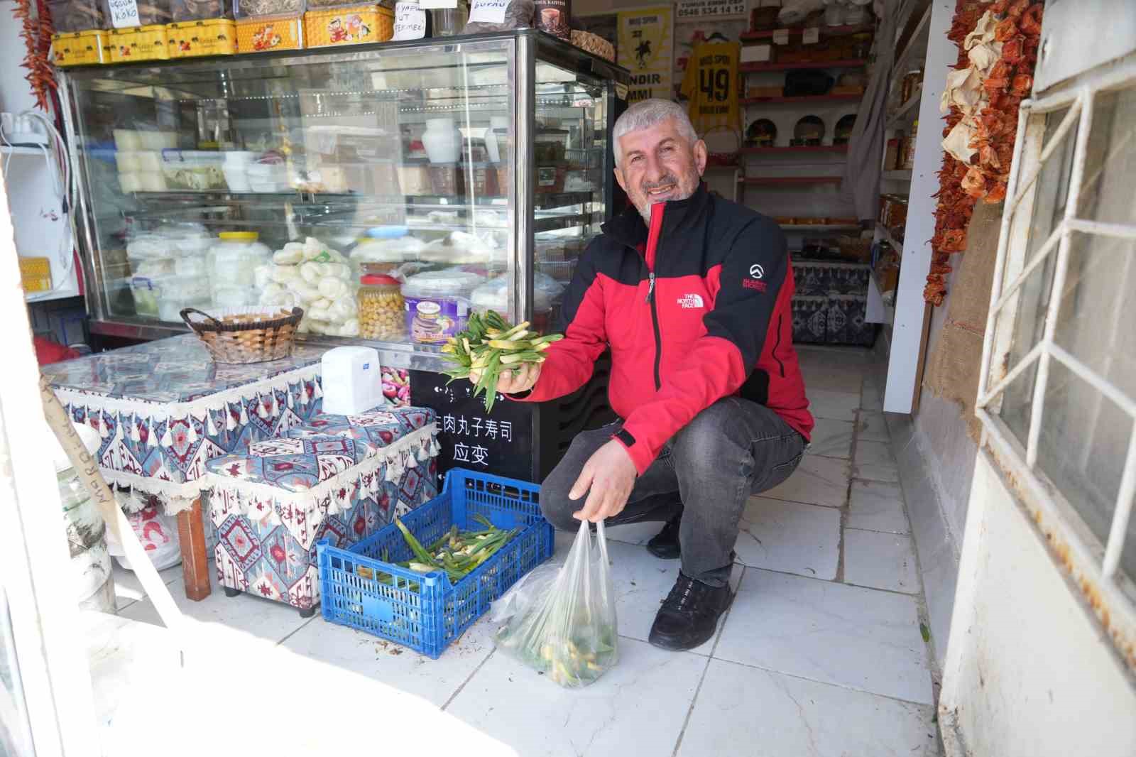 Muş’ta "askıda çiriş otu" uygulaması
