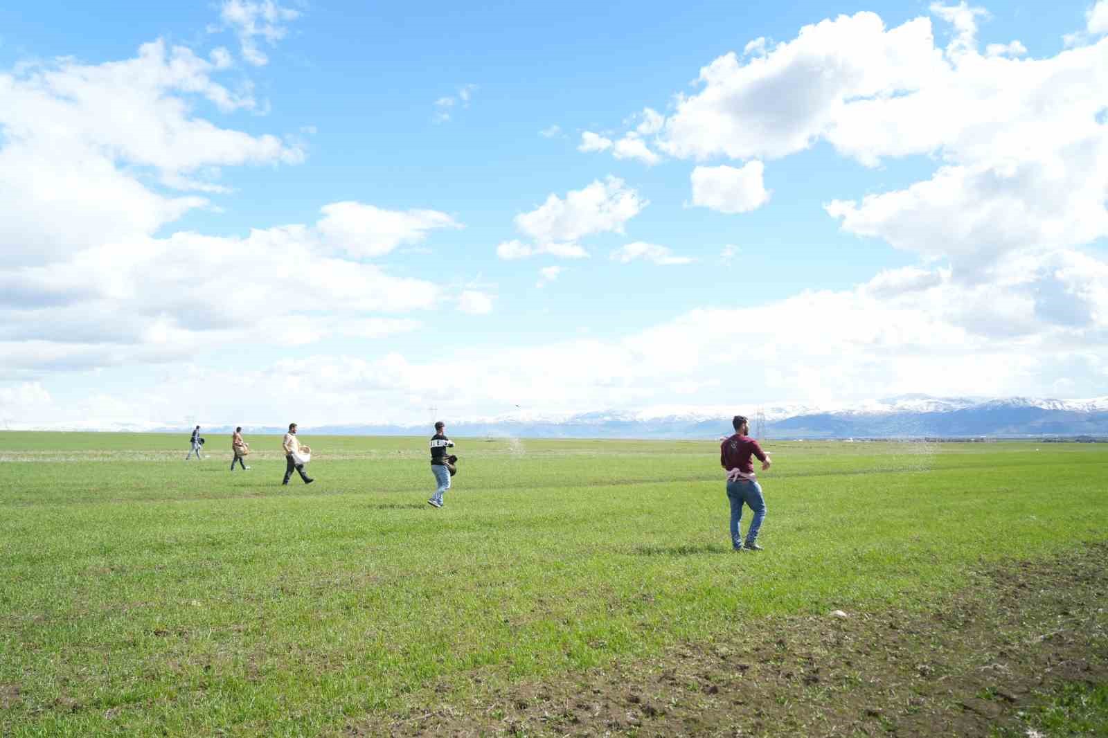 Muş’ta çiftçiler tarlaya indi: Gübreler imece usulü ile serpildi
Muş’ta çiftçiler tarlaya indi: Gübreler imece usulü ile serpildi