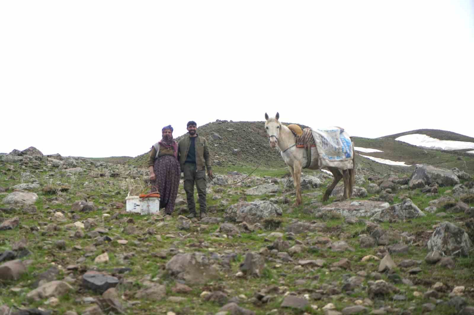 Muş’ta çiriş otu köylülerin geçim kaynağı oldu
