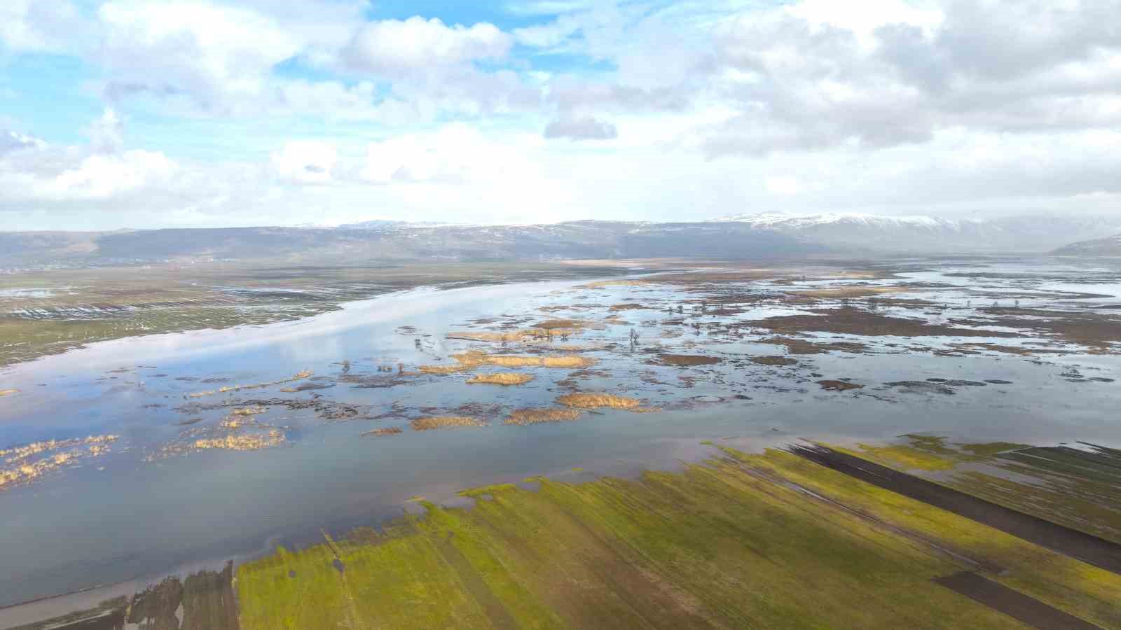 Muş’ta eriyen kar ve sağanak ovayı sular altında bıraktı
