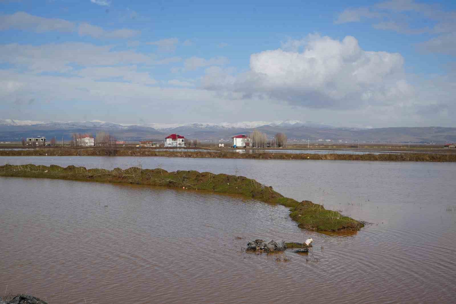 Muş’ta eriyen kar ve sağanak ovayı sular altında bıraktı
