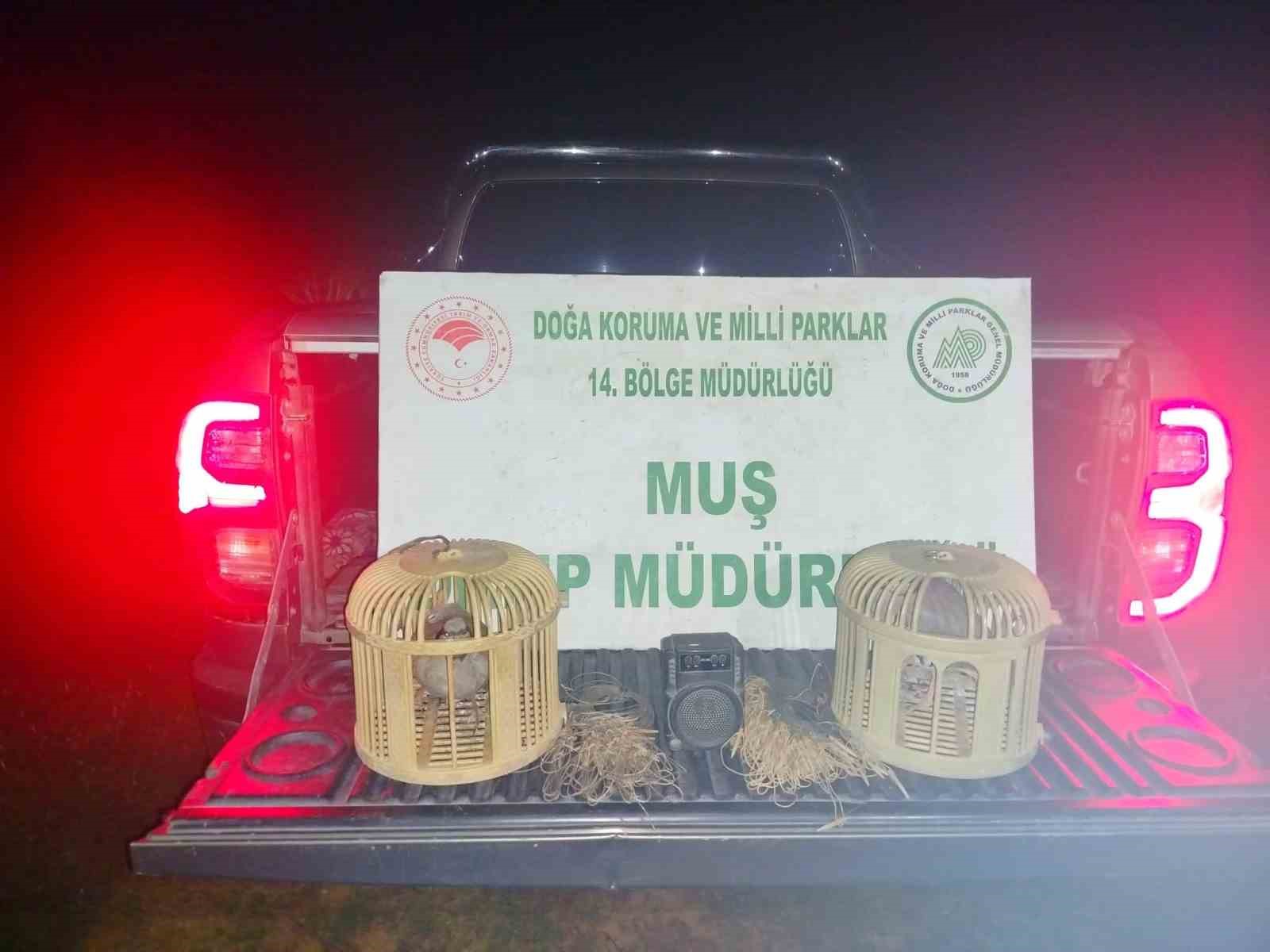 Muş’ta kaçak keklik avına suçüstü: 65 bin TL ceza kesildi
