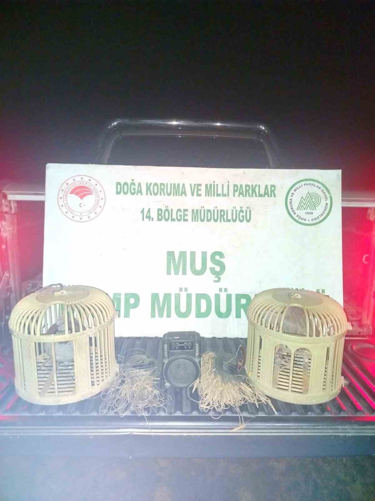 Muş’ta kaçak keklik avına suçüstü: 65 bin TL ceza kesildi
