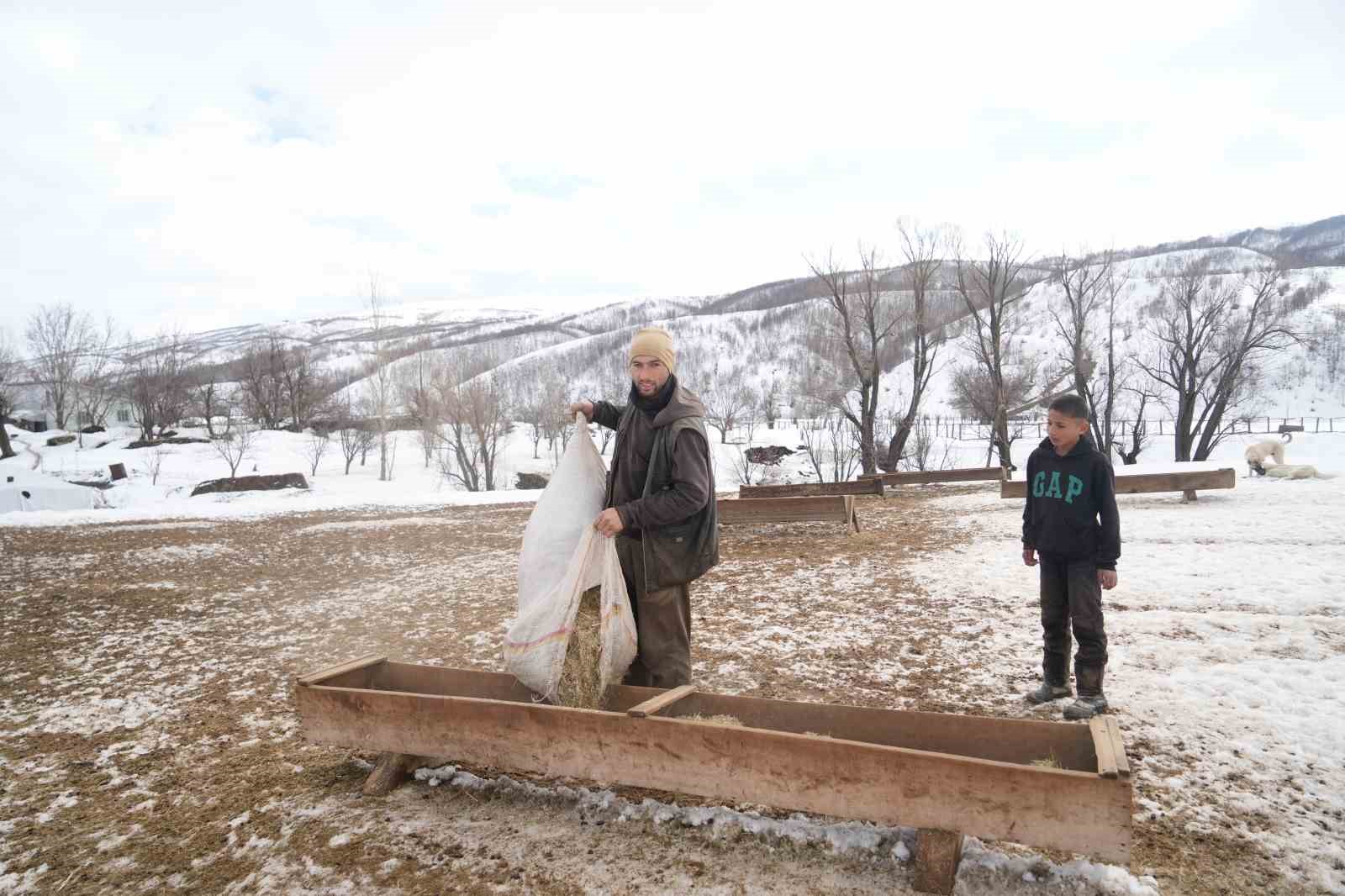 Muş’ta kış ve bahar aynı anda yaşanıyor
Muş’ta kış ve bahar aynı anda yaşanıyor