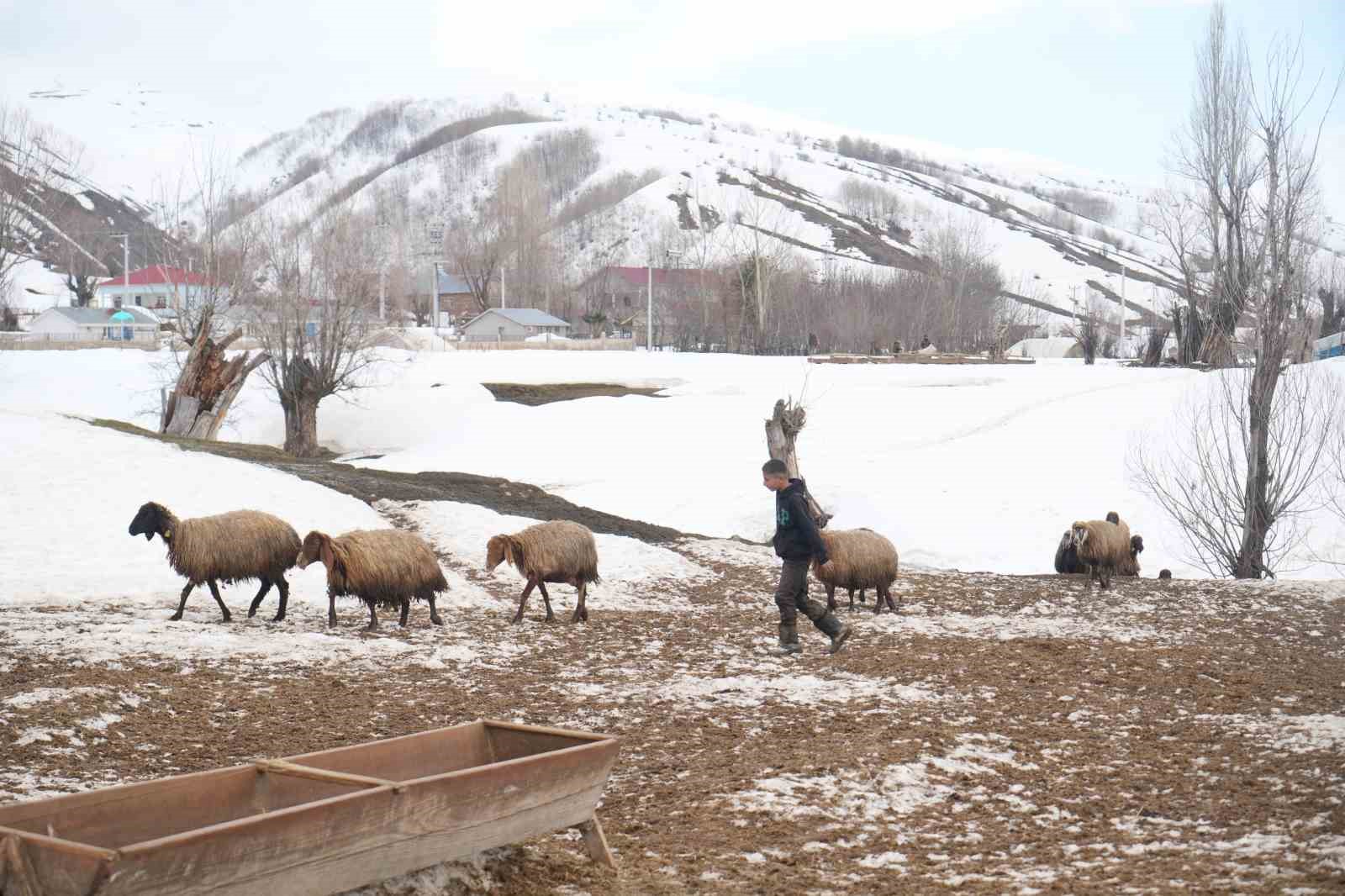 Muş’ta kış ve bahar aynı anda yaşanıyor
Muş’ta kış ve bahar aynı anda yaşanıyor