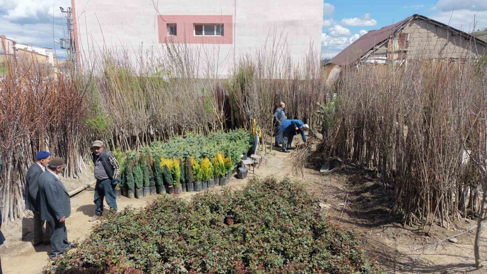 Muş’ta meyve fidanları satışa çıkarıldı
Muş’ta meyve fidanları satışa çıkarıldı
