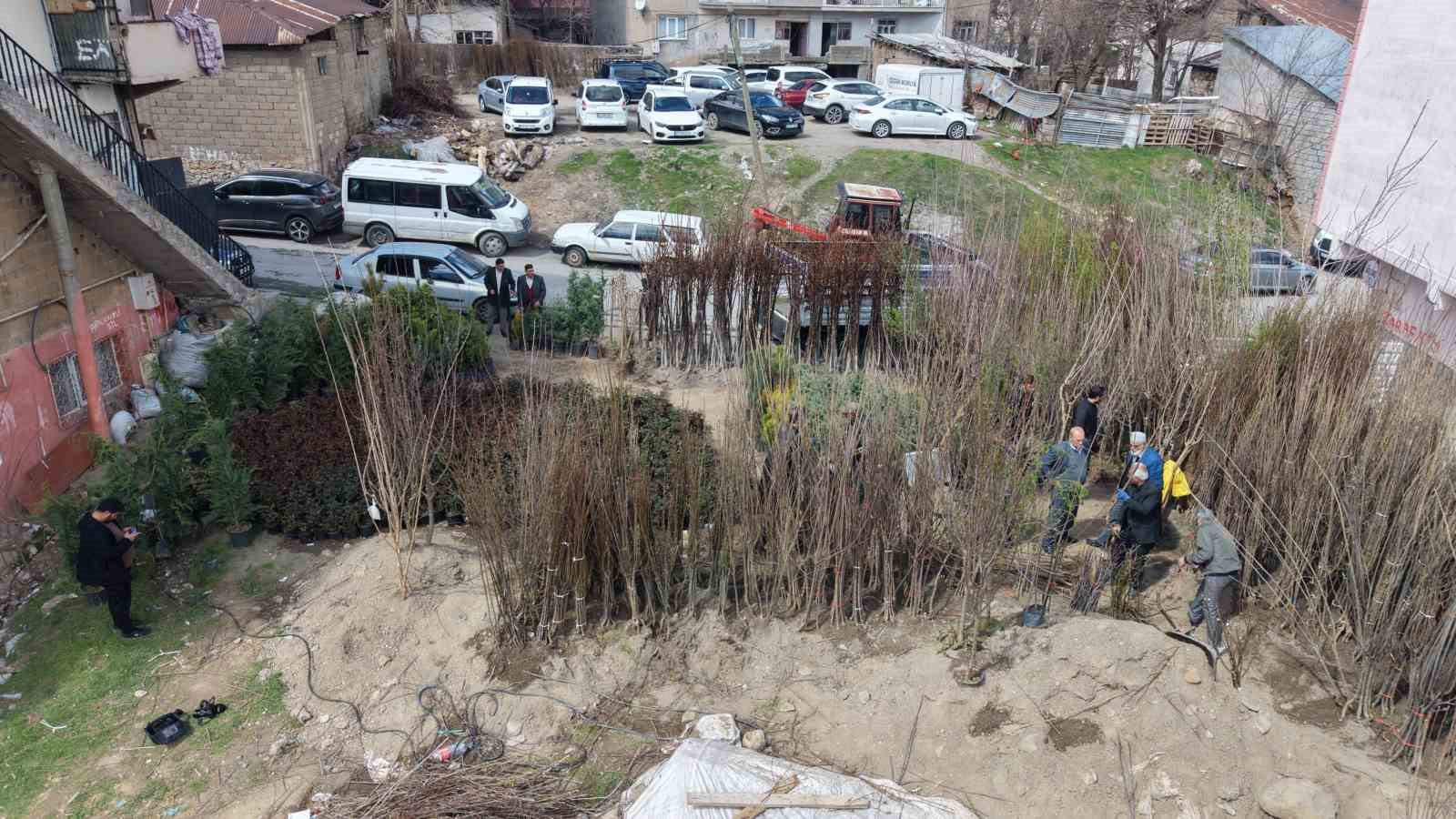 Muş’ta meyve fidanları satışa çıkarıldı
Muş’ta meyve fidanları satışa çıkarıldı