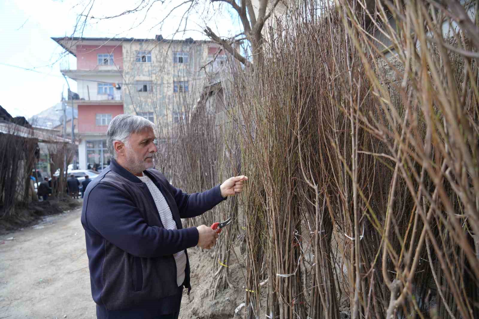 Muş’ta meyve fidanları satışa çıkarıldı
Muş’ta meyve fidanları satışa çıkarıldı