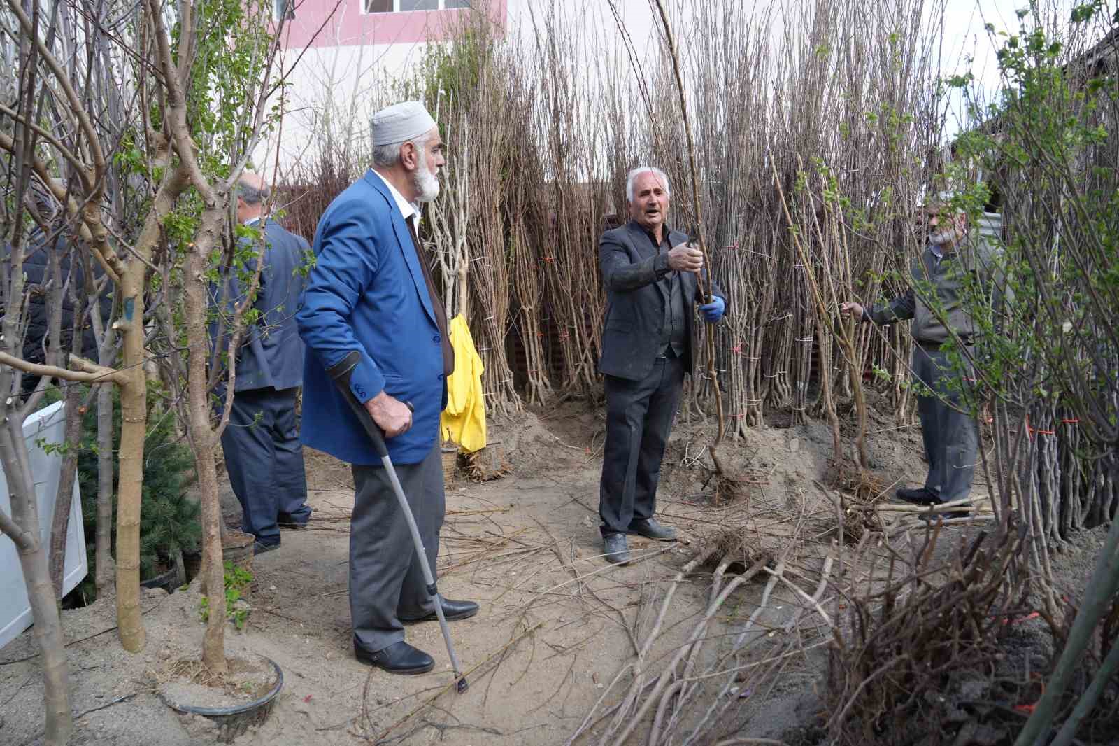Muş’ta meyve fidanları satışa çıkarıldı
Muş’ta meyve fidanları satışa çıkarıldı