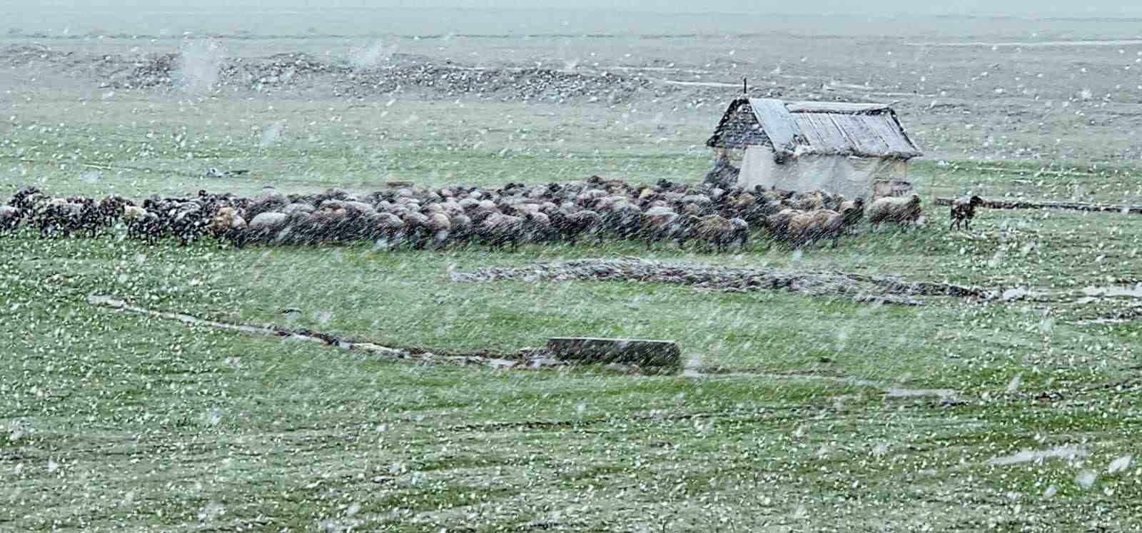 Muş’ta nisan karı etkisini sürdürüyor: 22 köy yolu ulaşıma kapandı
