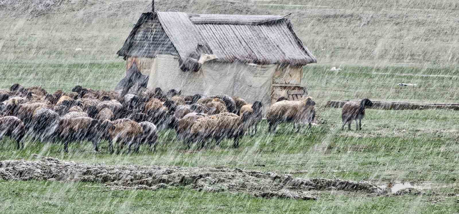 Muş’ta nisan karı etkisini sürdürüyor: 22 köy yolu ulaşıma kapandı
