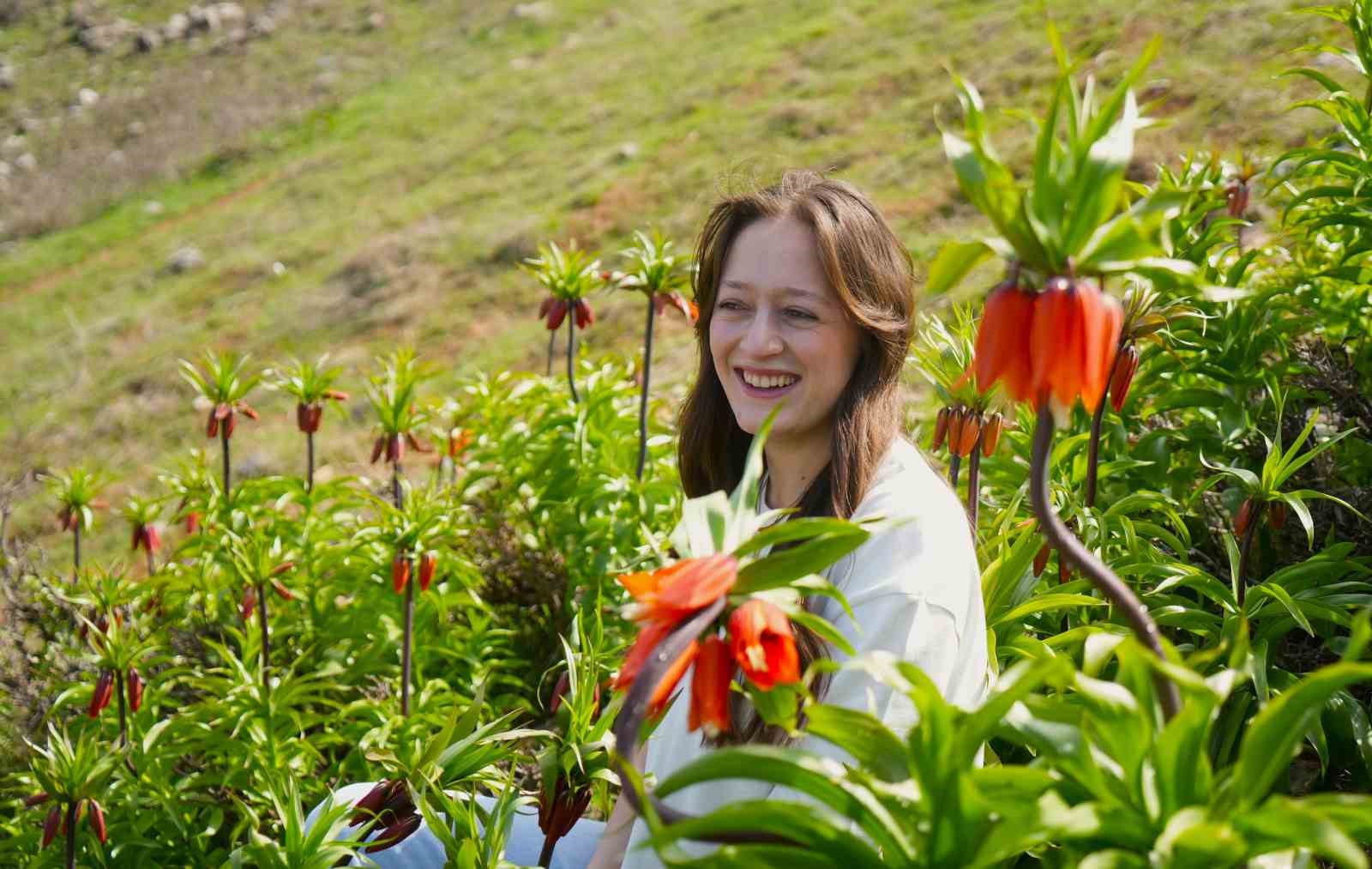 Muş’ta ters laleler açtı
