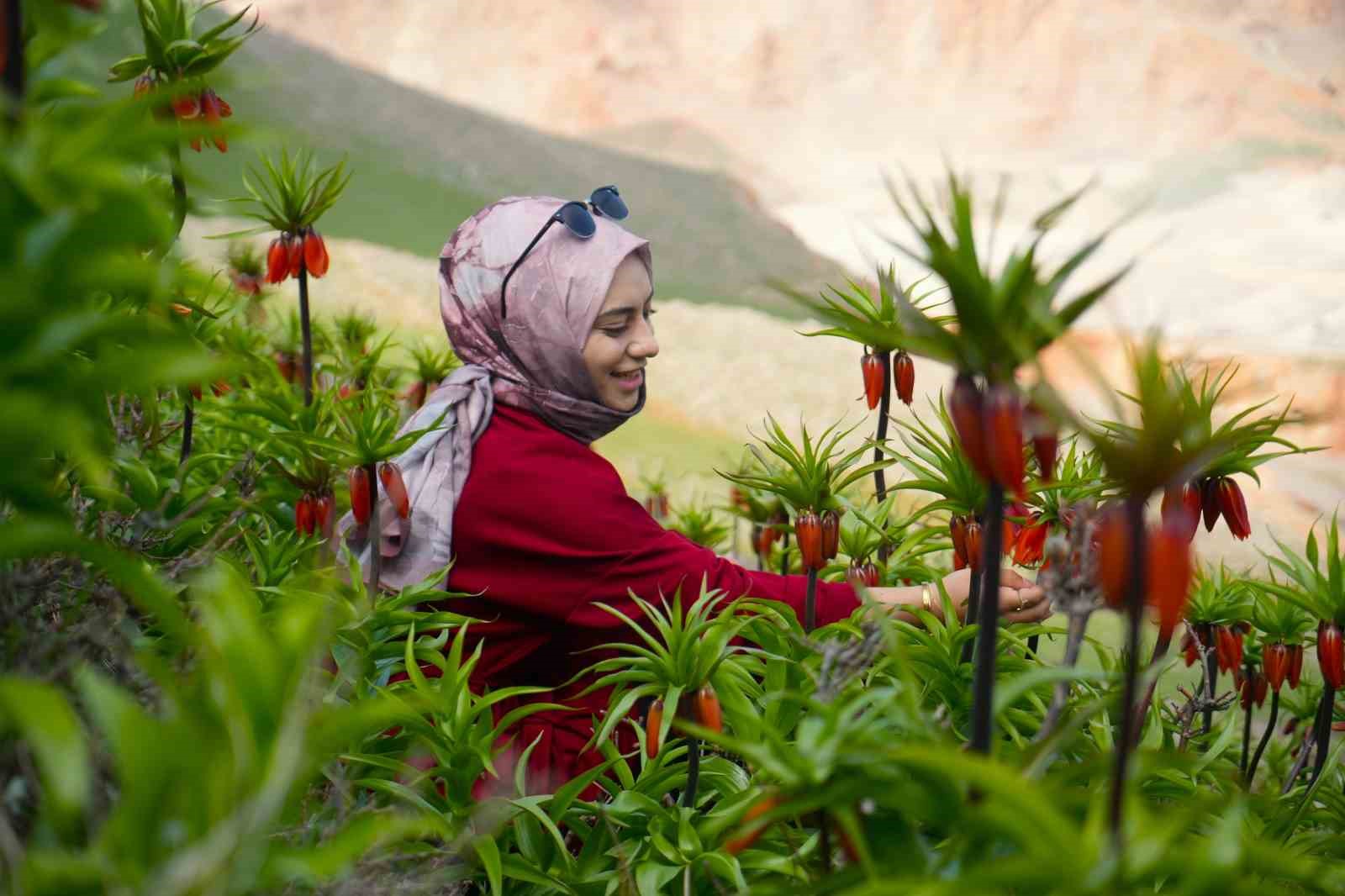 Muş’ta ters laleler açtı
