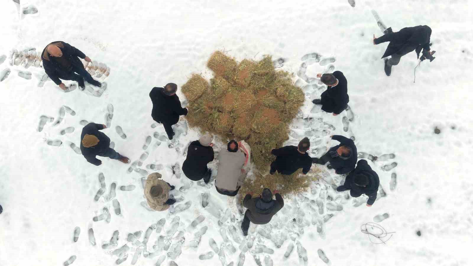 Muş’ta yaban hayatı için doğaya yem bırakıldı
