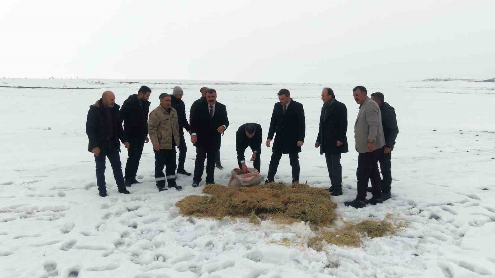Muş’ta yaban hayatı için doğaya yem bırakıldı
