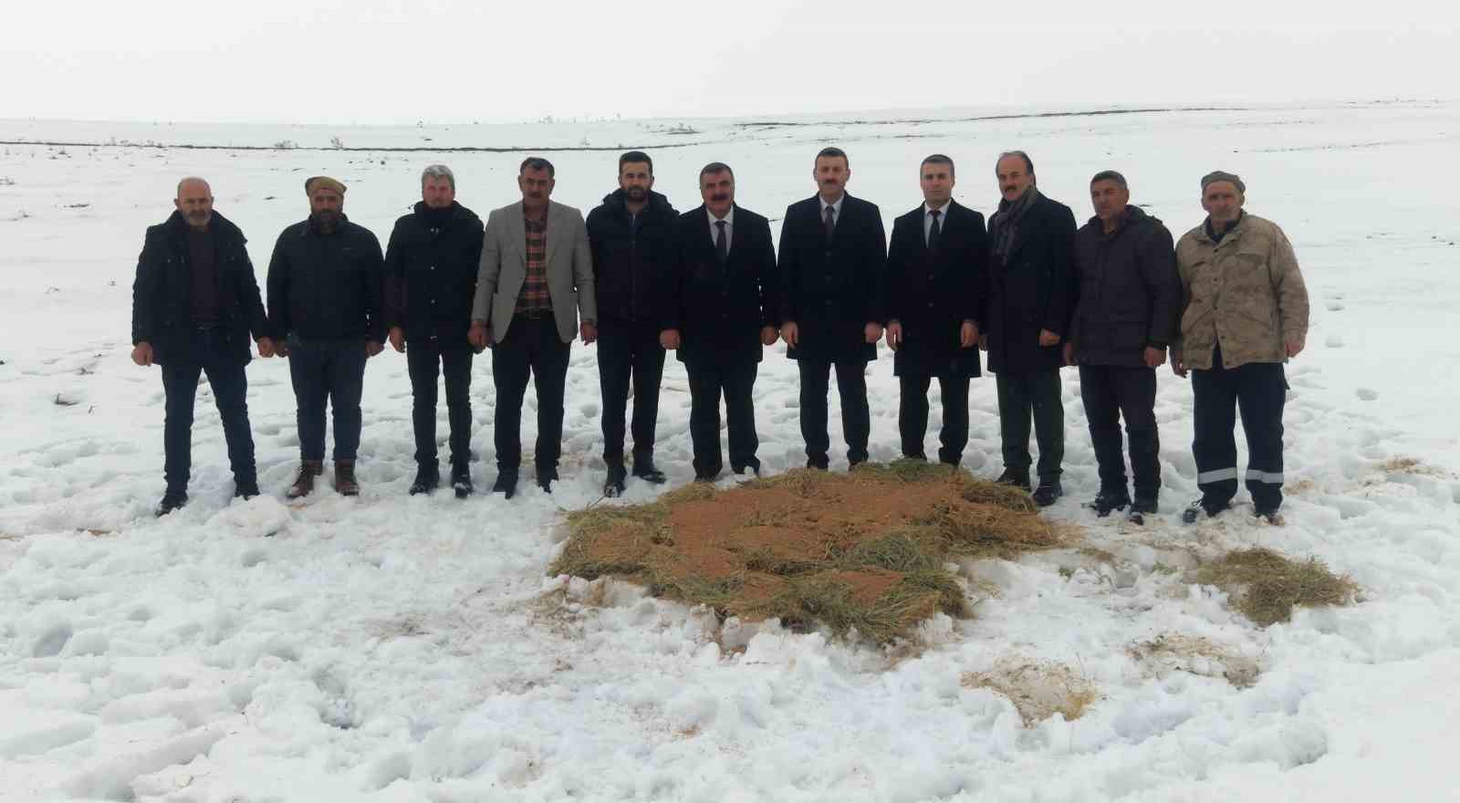 Muş’ta yaban hayatı için doğaya yem bırakıldı
