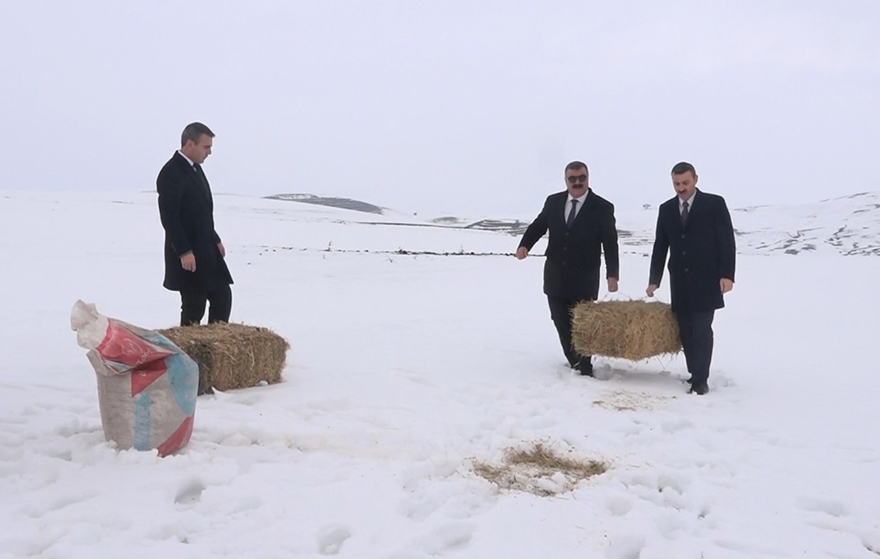 Muş’ta yaban hayatı için doğaya yem bırakıldı
