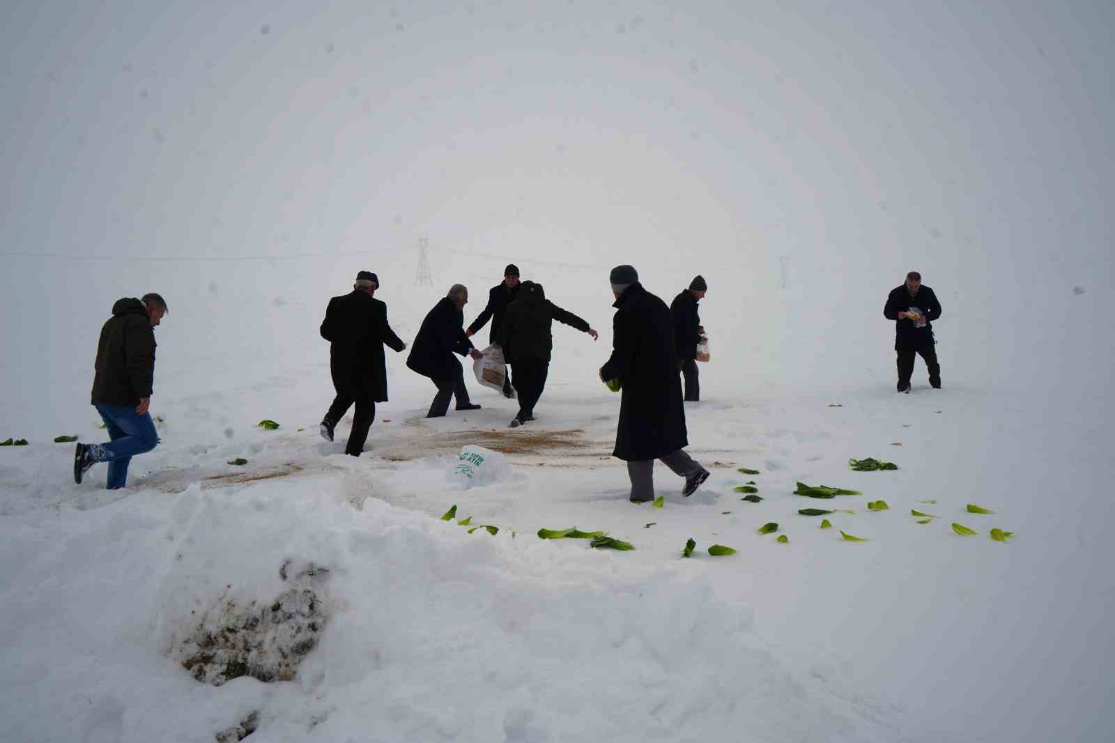 Muş’ta yaban hayvanları için doğaya yem bırakıldı
