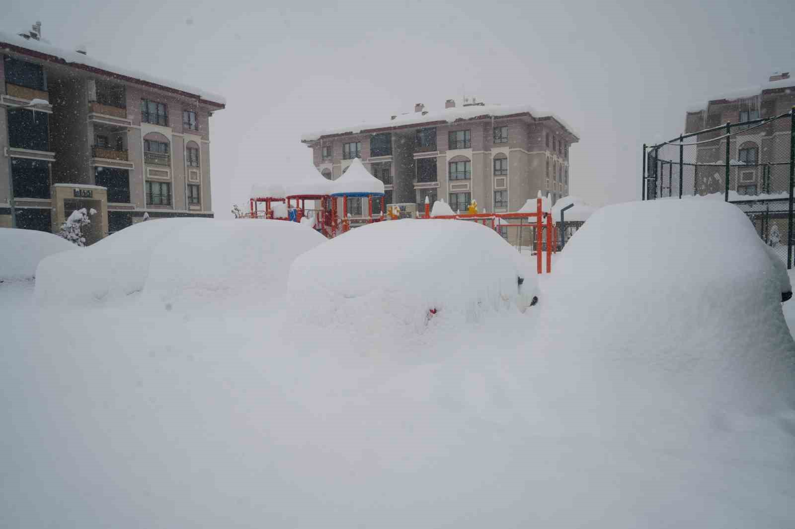 Muş’ta yoğun kar yağışı hayatı olumsuz etkiledi
