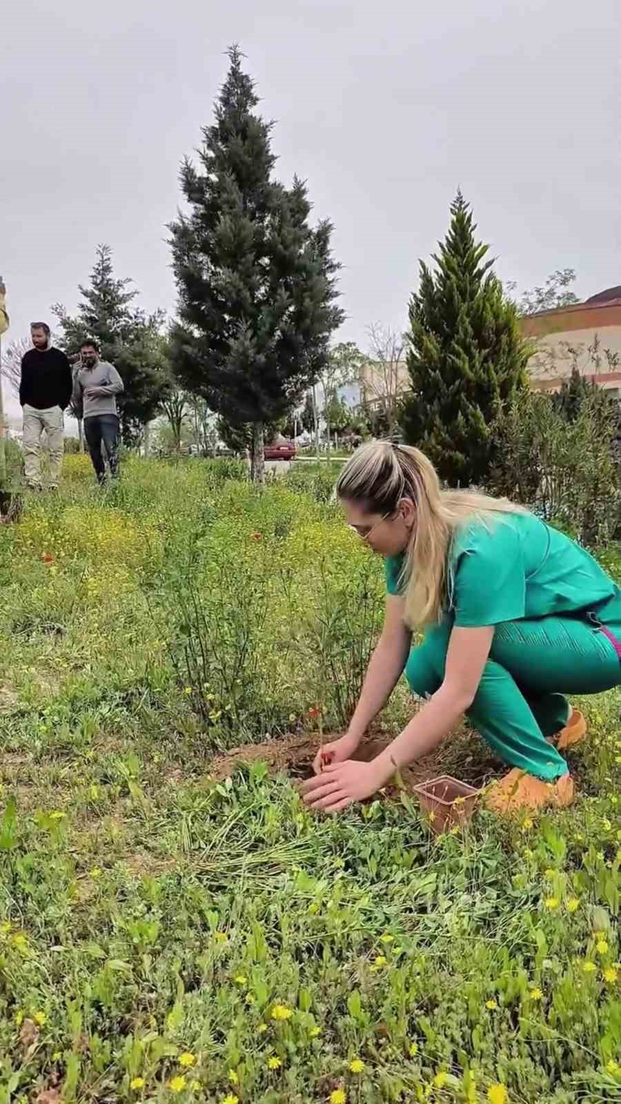 Mut Devlet Hastanesi bahçesine 150 fidan dikildi
