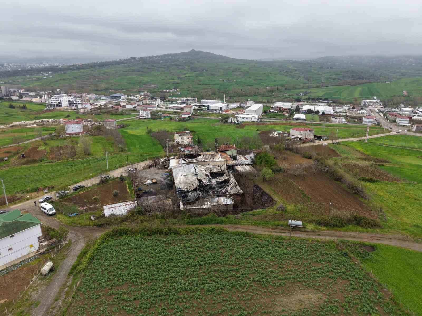 Muz deposundaki yangının zararı gün ağarınca ortaya çıktı
