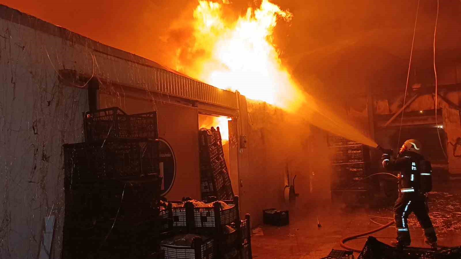 Muz paketleme tesisinde çıkan yangın korku dolu anlar yaşattı
