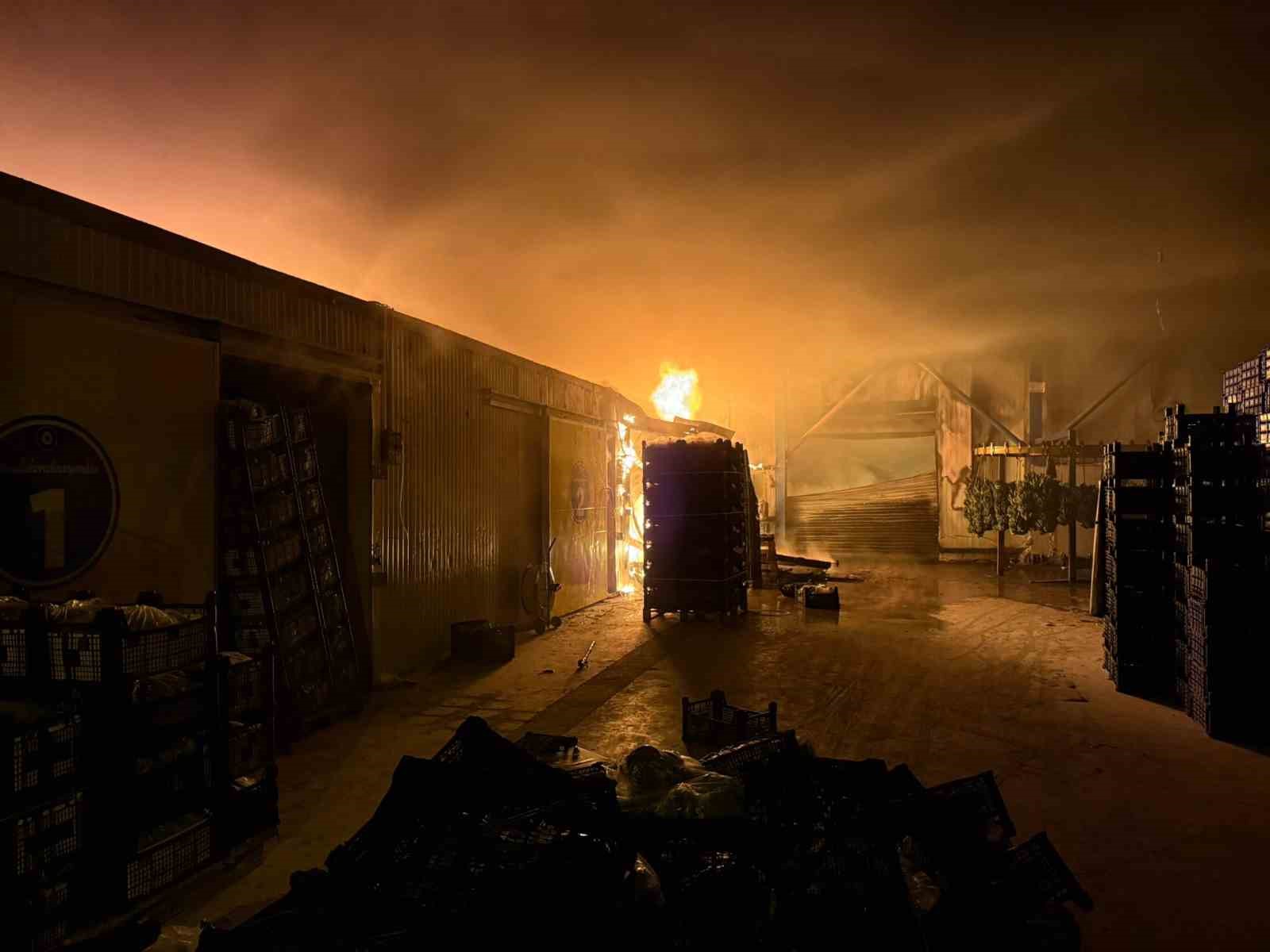 Muz paketleme tesisinde çıkan yangın korku dolu anlar yaşattı
