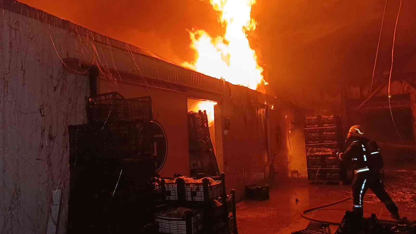 Muz paketleme tesisinde çıkan yangın korku dolu anlar yaşattı
