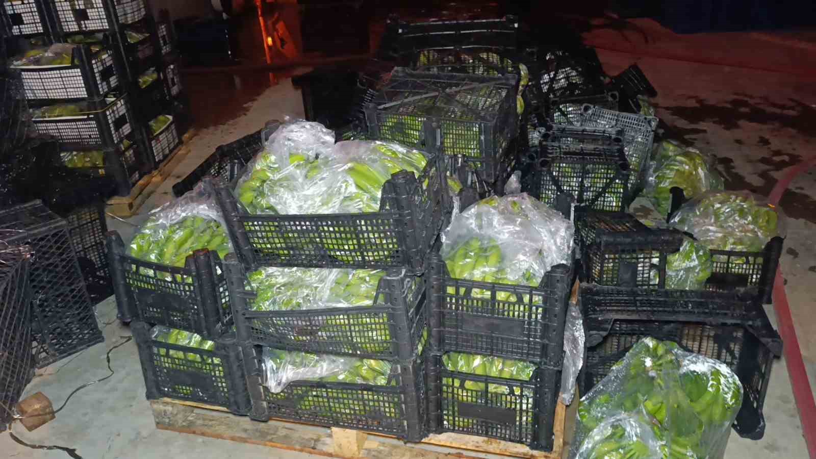 Muz paketleme tesisinde çıkan yangın korku dolu anlar yaşattı
