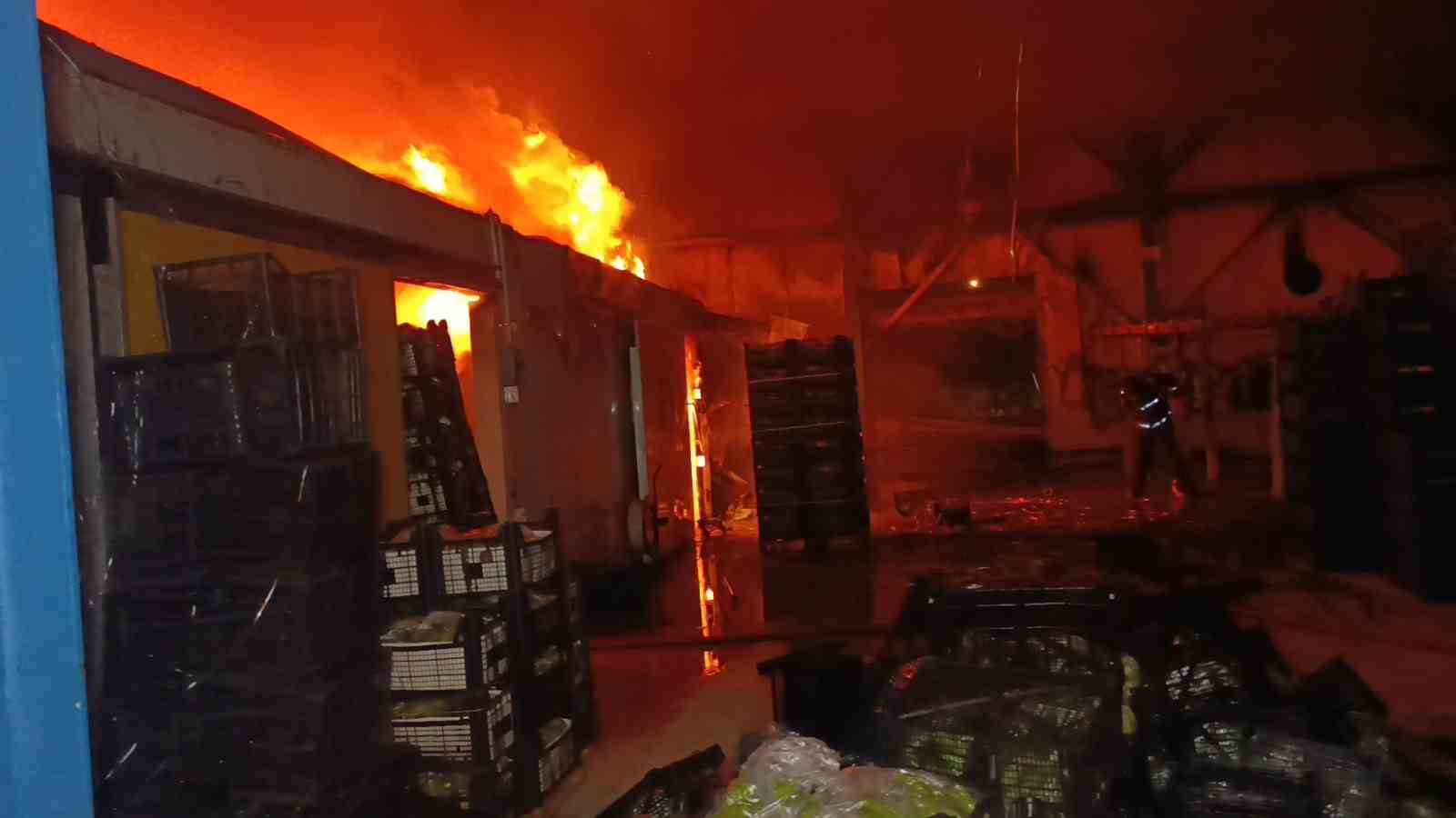 Muz paketleme tesisinde çıkan yangın korku dolu anlar yaşattı
