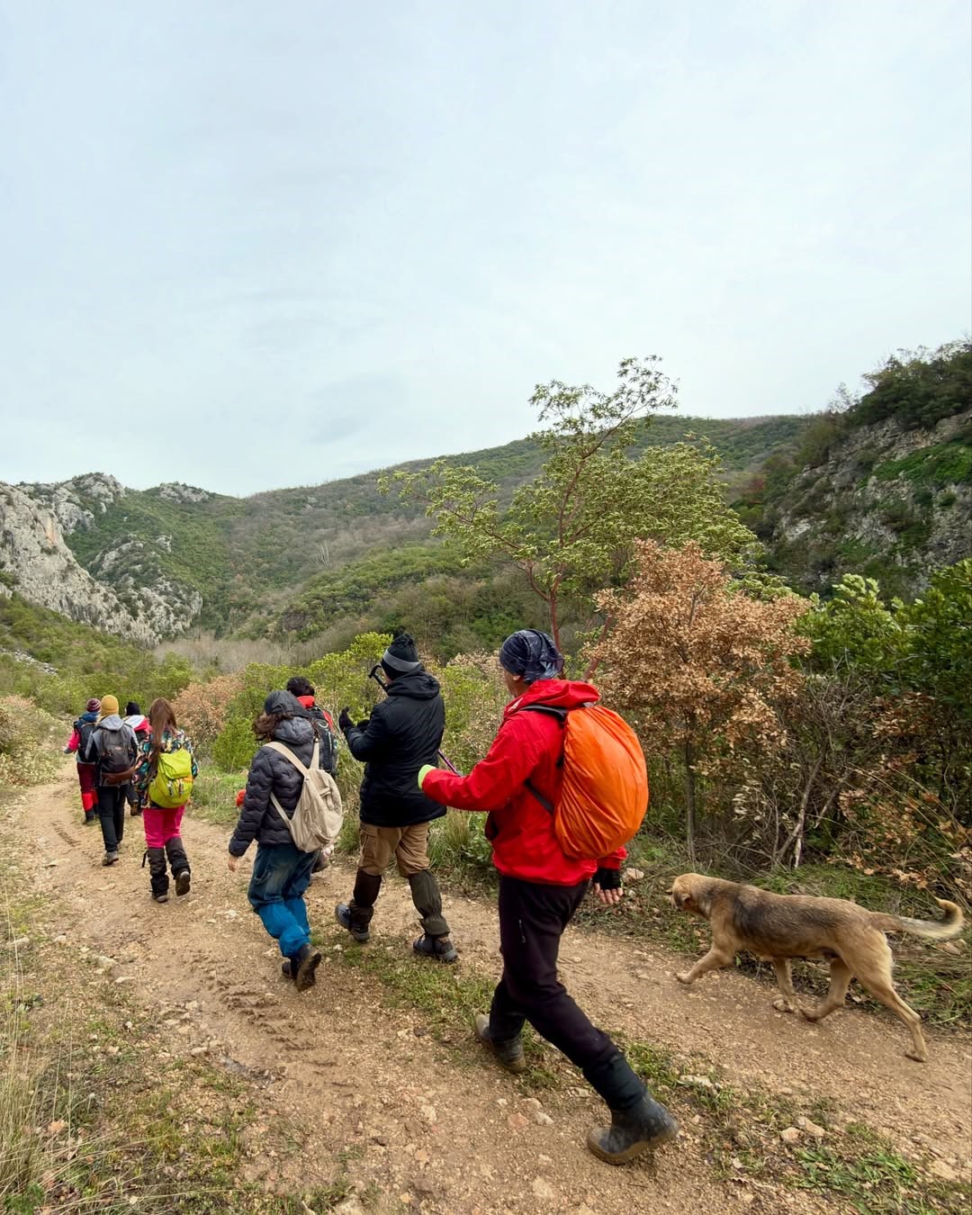Mysia Yolları’nda keyifli yürüyüş
