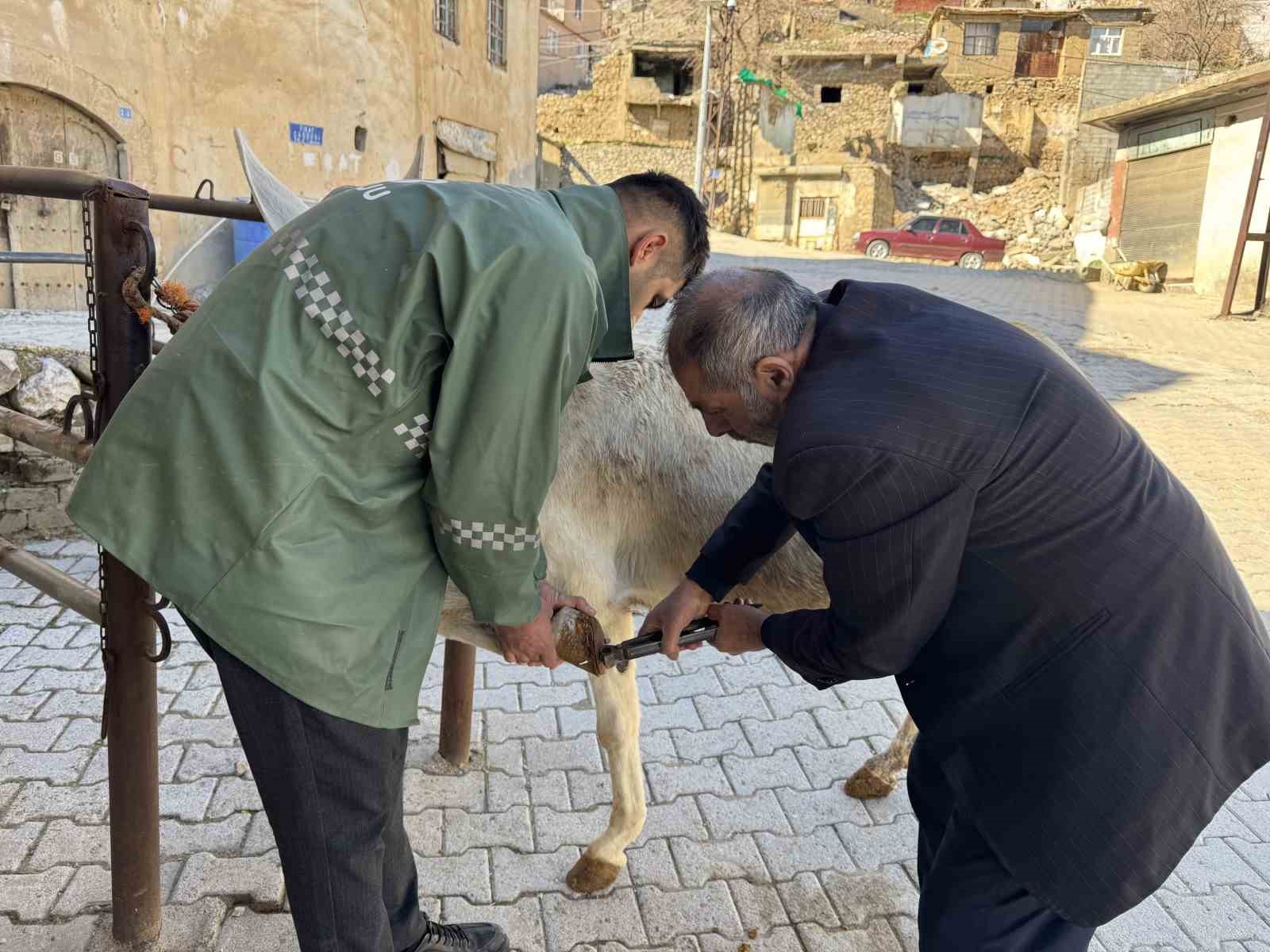 Nalbantlıkla geçen yarım asır: Diyarbakırlı 2 kardeş, 50 yıldır nalbantlık yapıyor
