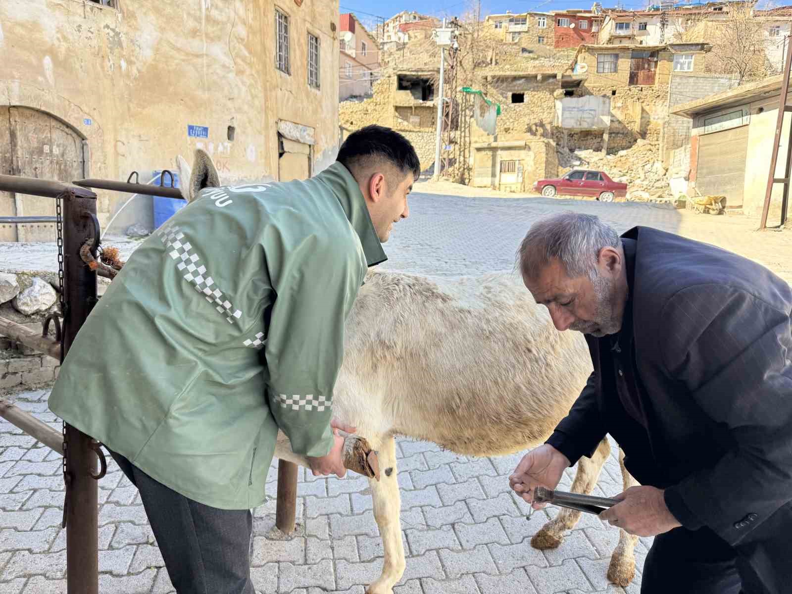 Nalbantlıkla geçen yarım asır: Diyarbakırlı 2 kardeş, 50 yıldır nalbantlık yapıyor

