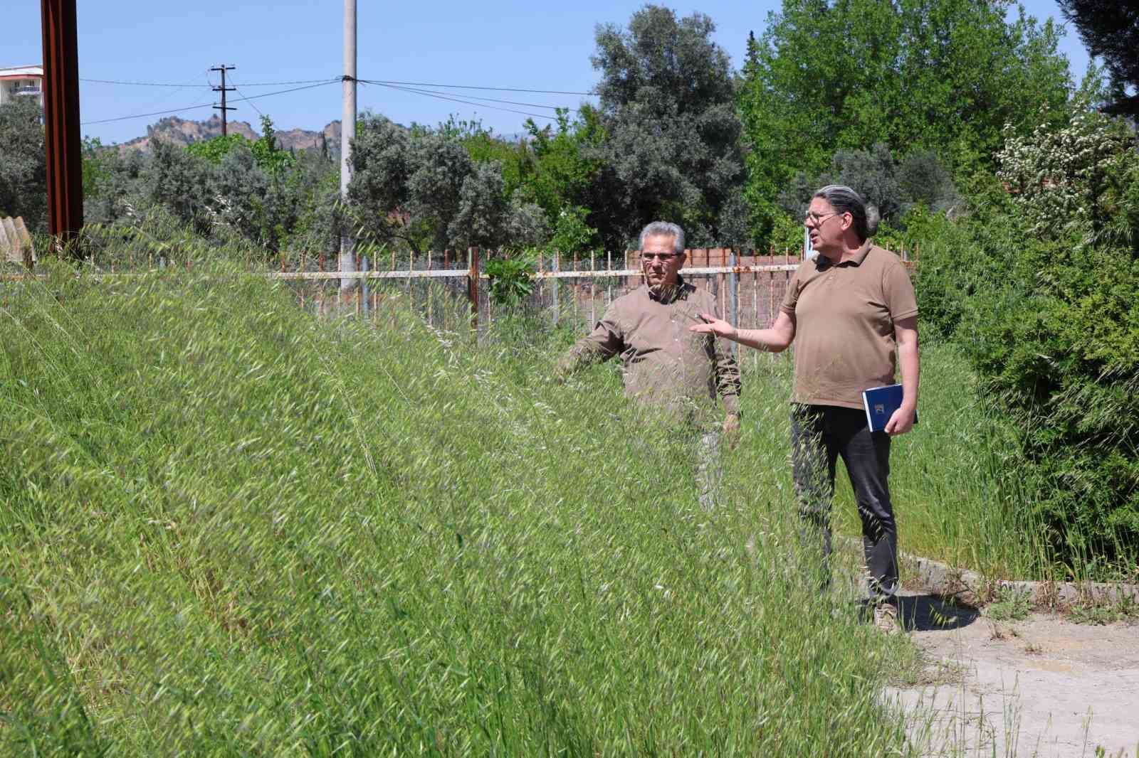 Nazilli Belediye Başkanı Tetik: "Bu görüntüler Nazilli’ye yakışmıyor"
