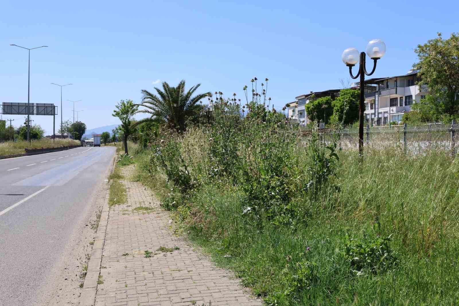 Nazilli Belediye Başkanı Tetik: "Bu görüntüler Nazilli’ye yakışmıyor"
