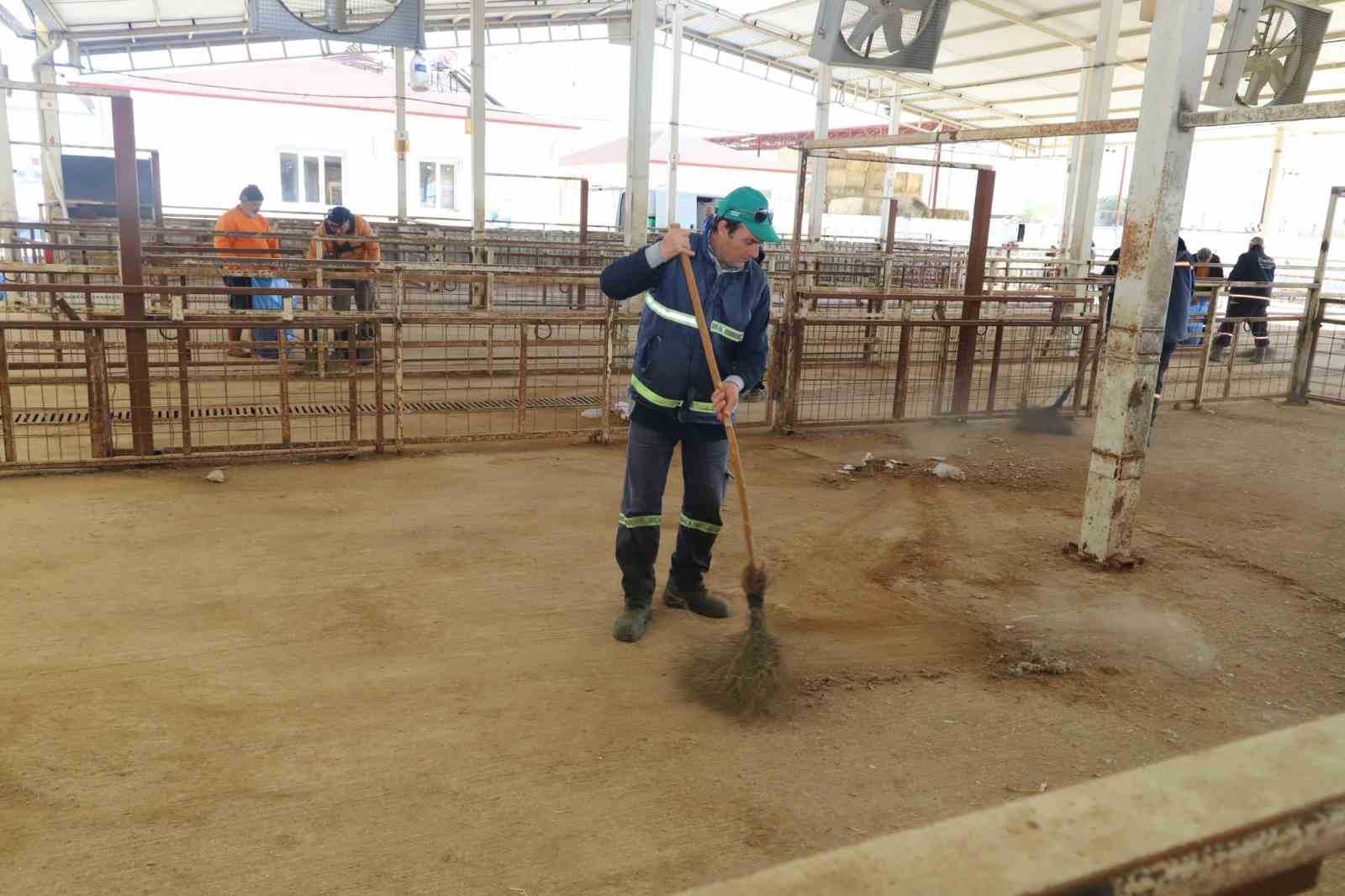 Nazilli Hayvan Pazarı 7 ay sonra yeniden açılıyor
