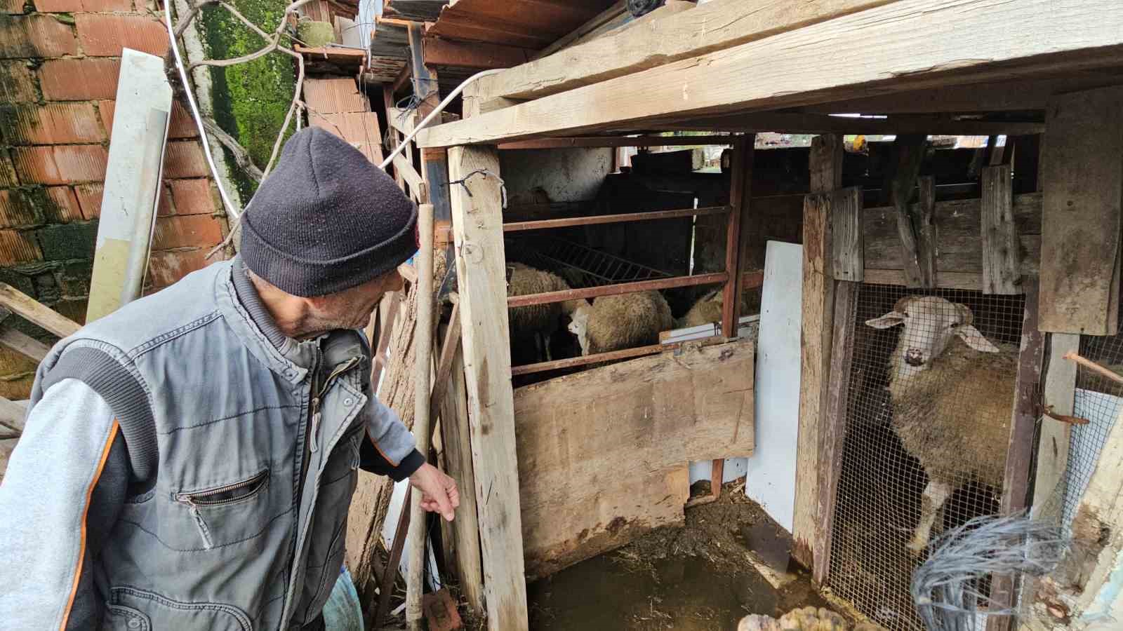 Nazilli’de mahalle sular altında kaldı, ekipler anında müdahale etti
