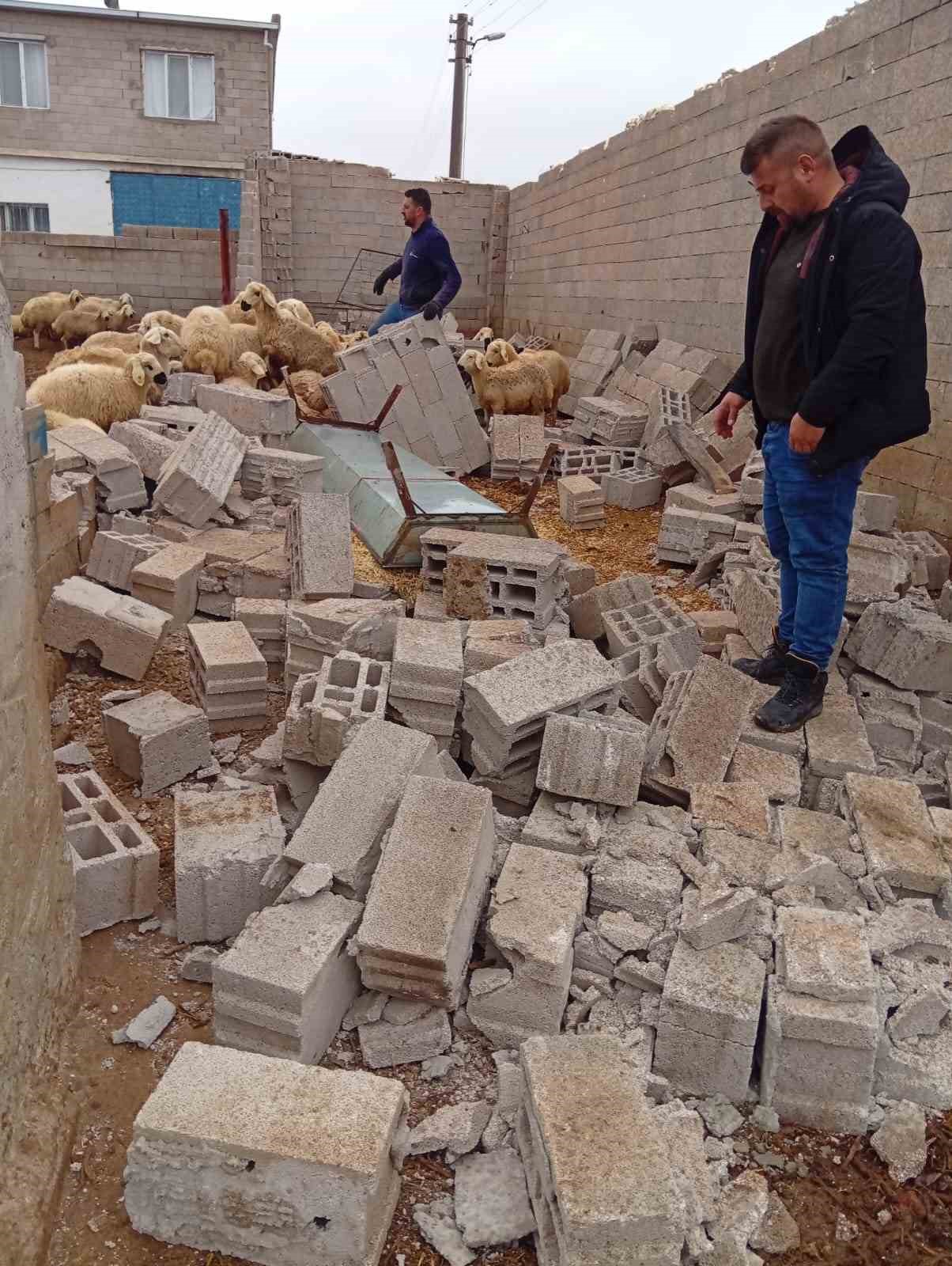 Nevşehir’de fırtına ağıl ve mandırayı vurdu: 12 koyun telef oldu
