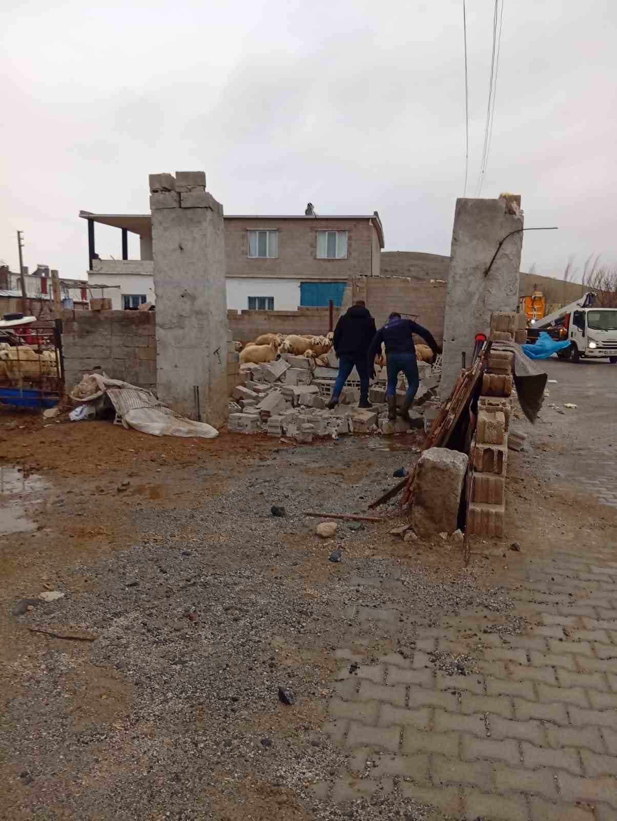 Nevşehir’de fırtına ağıl ve mandırayı vurdu: 12 koyun telef oldu
