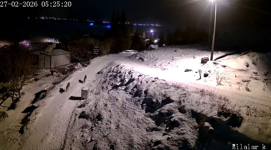 Niğde’de aç kalan kurtlar köye indi
