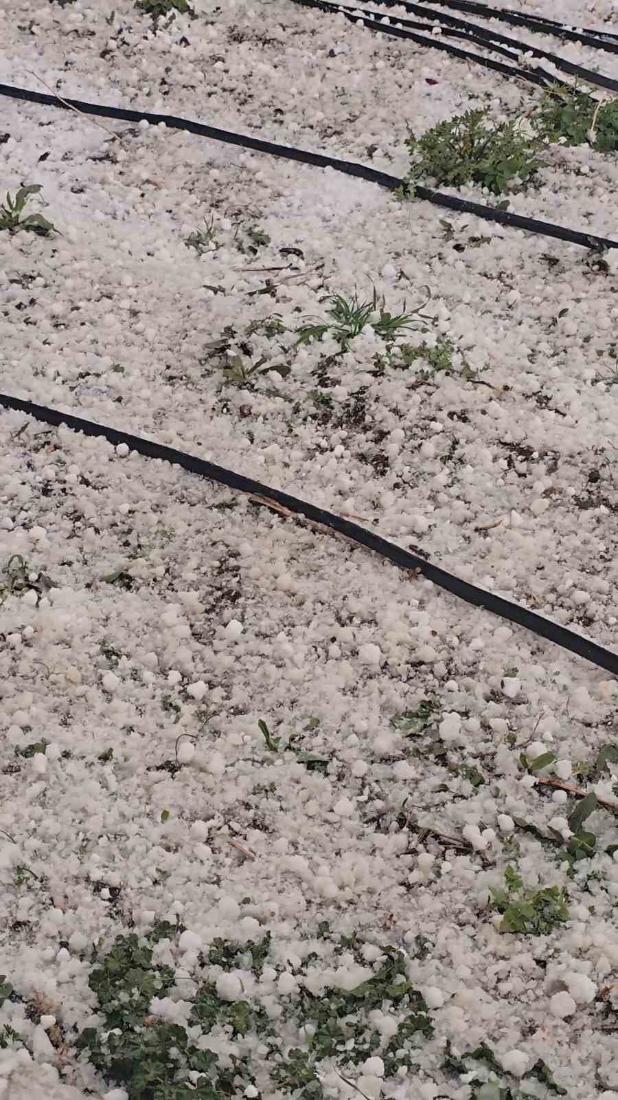 Niğde’de dolu yağışı etkili oldu
