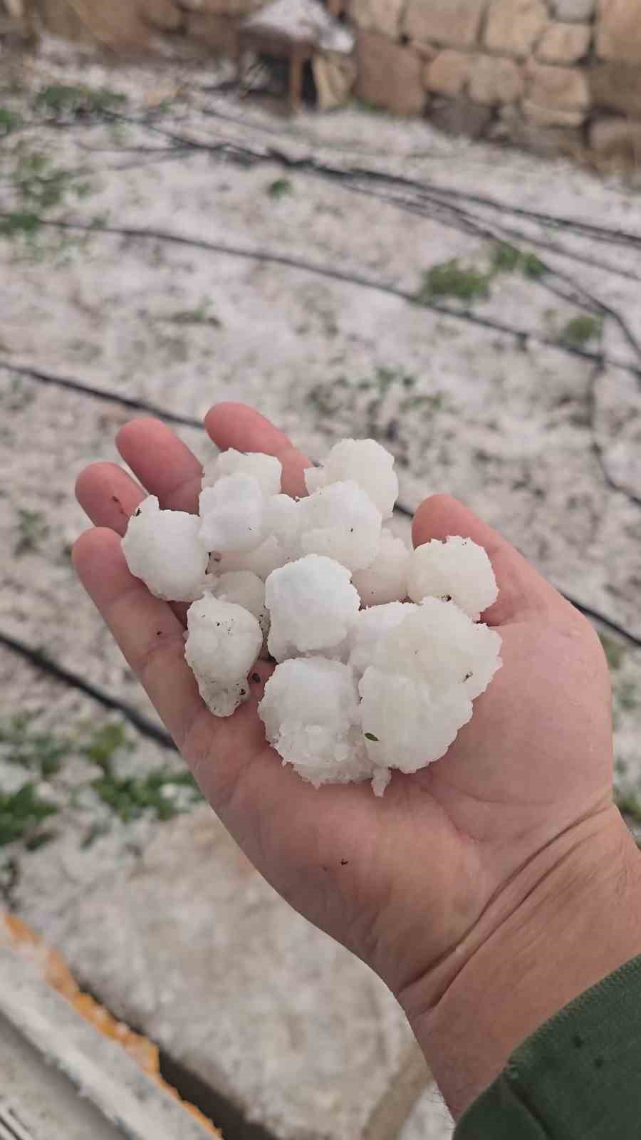Niğde’de dolu yağışı etkili oldu
