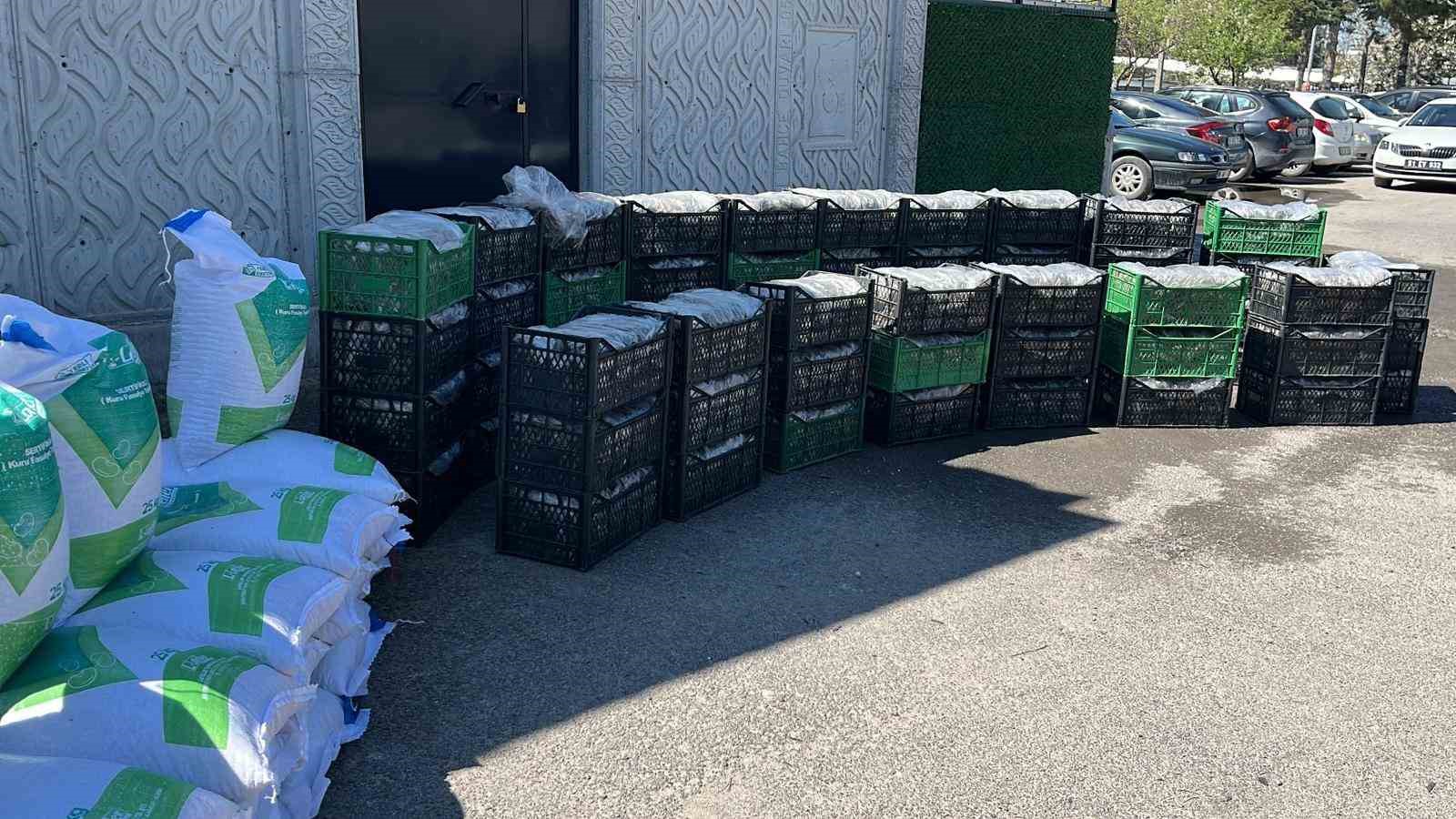 Niğde’de üreticilere tohum ve çilek fidesi desteği: 522 üreticiye dağıtım yapıldı
