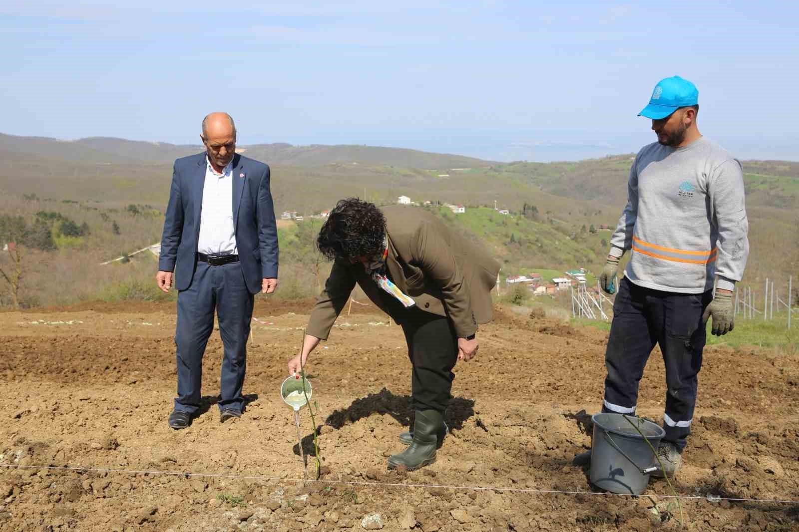 Nilüfer’de atıl araziler bereketleniyor
