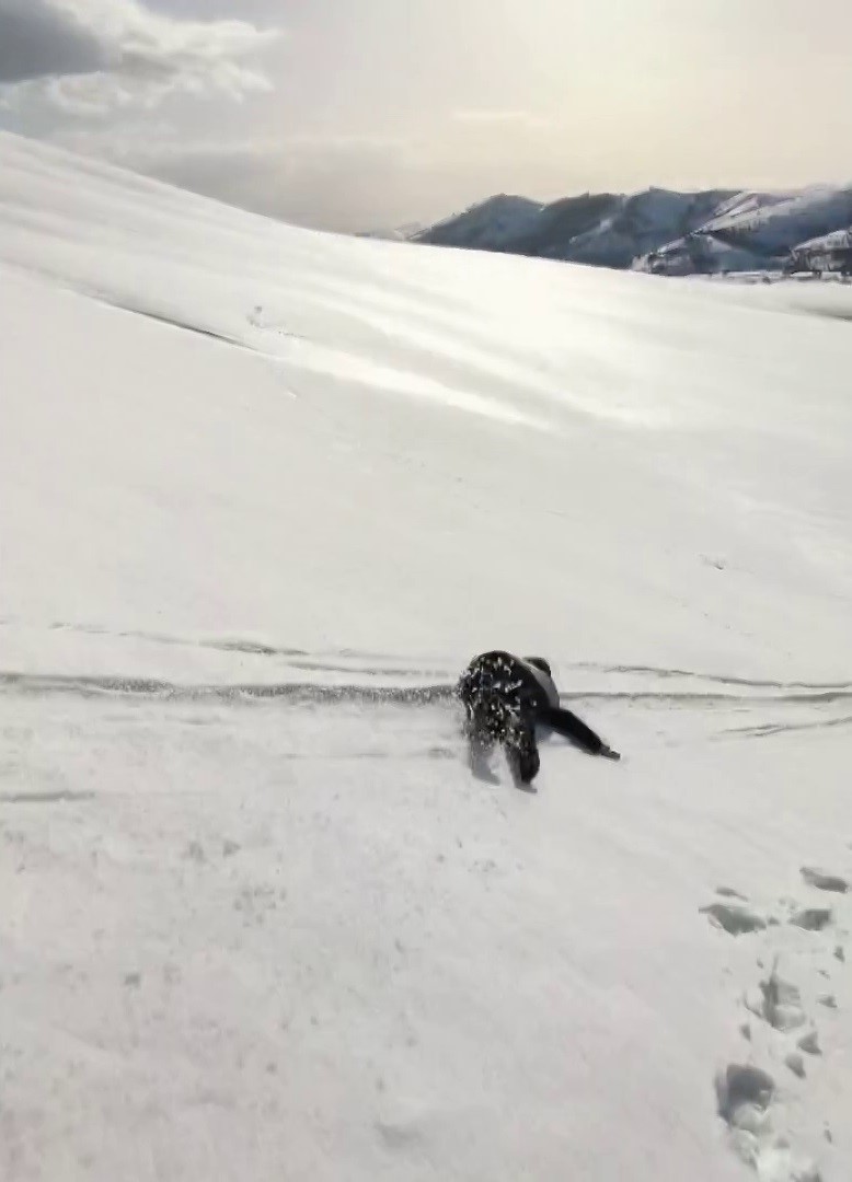 Nisan ayında çöp poşetiyle kaydılar, o anları kayda aldılar
