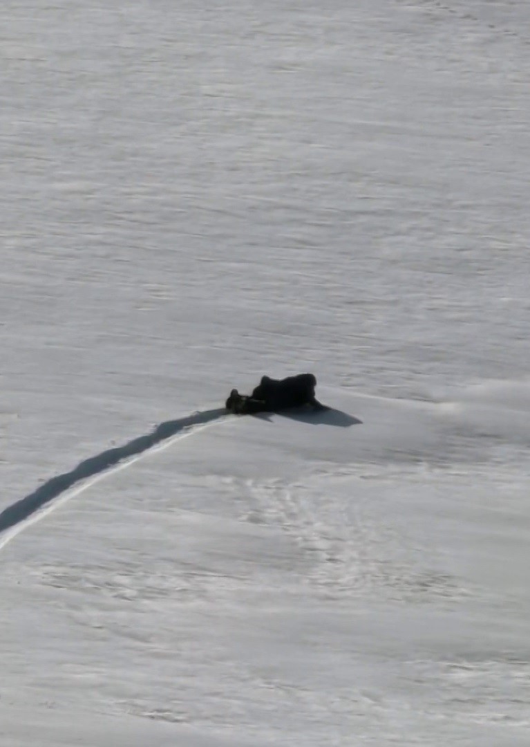 Nisan ayında çöp poşetiyle kaydılar, o anları kayda aldılar
