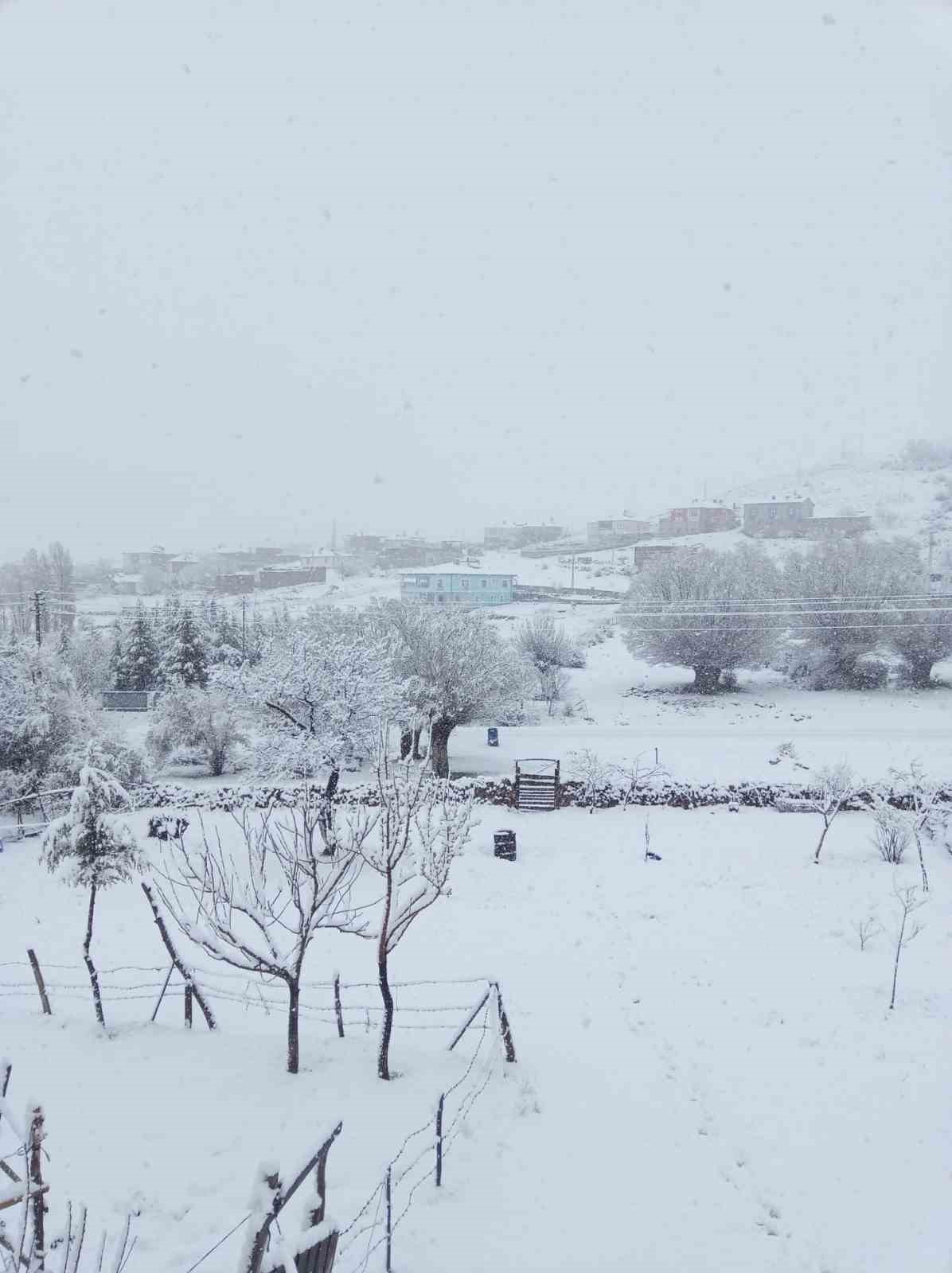 Nisan karı mahalleyi beyaza bürüdü
