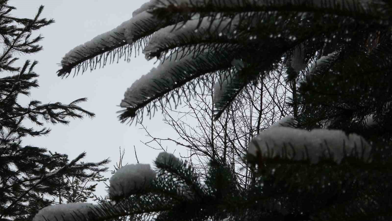 Nisanda kar sürprizi
