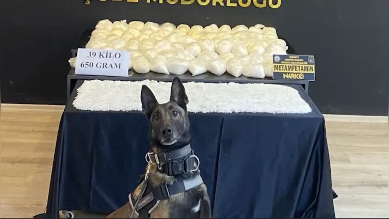 Ocak ayının en başarılı narkotik köpeği "Jardi" oldu
