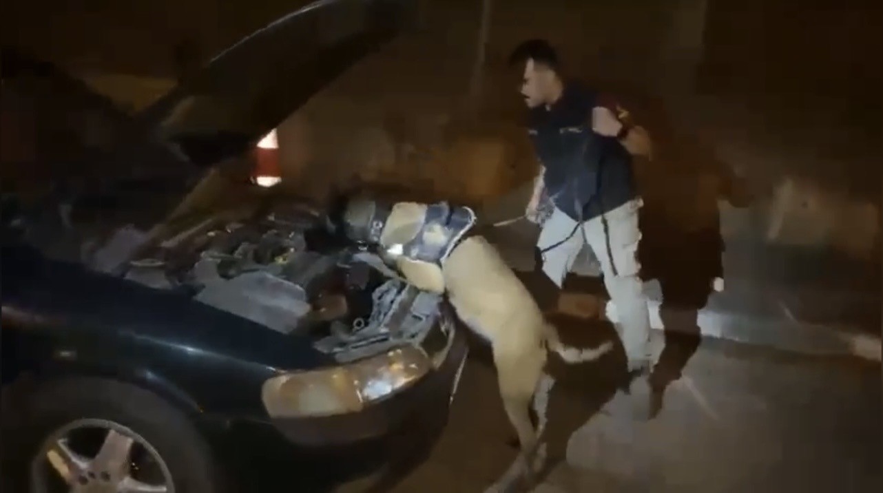 Ocak ayının en başarılı narkotik köpeği "Jardi" oldu
